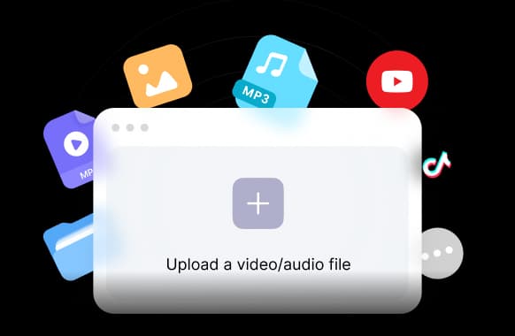 Import Your Media